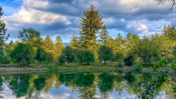 View of Upper Lake / photo by Eric Finley