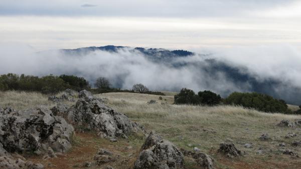 Monte Bello Ridge