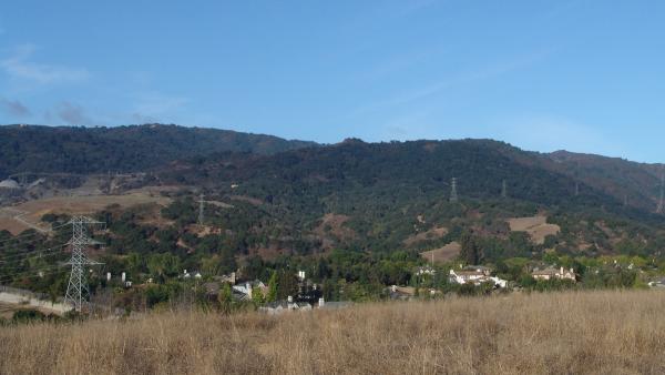 a hillside ridgeline