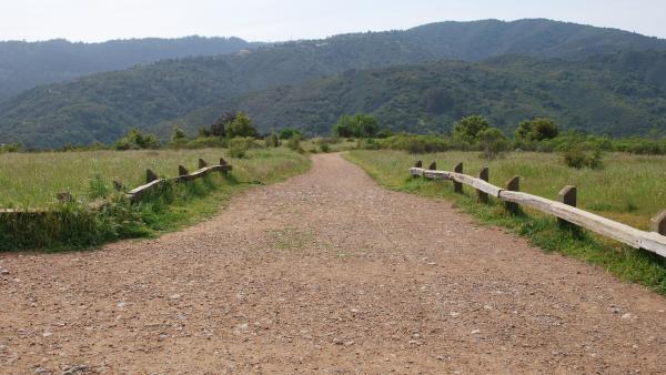 Trail receding into distant hills