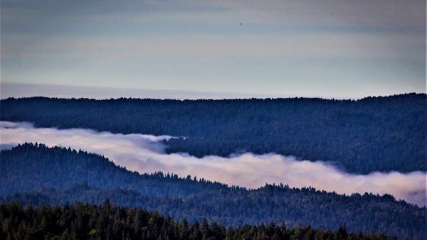 Fog in Saratoga Gap