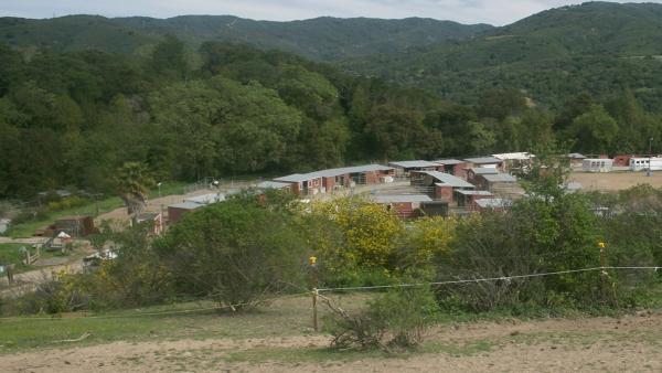 Bear Creek Stables