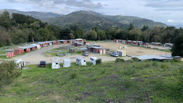 Bear creek stables view of paddocks