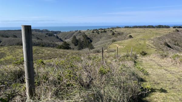 A fence in a field at Cloverdale Ranch Open Space Preserve