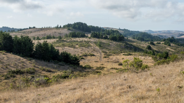 landscape view of Cloverdale Ranch 
