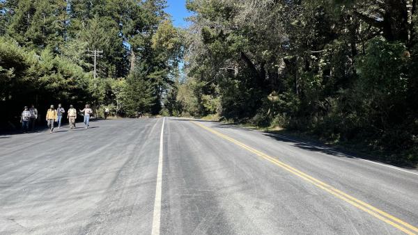 Highway 35 near Purisima Creek Redwoods Preserves' North Ridge parking area.