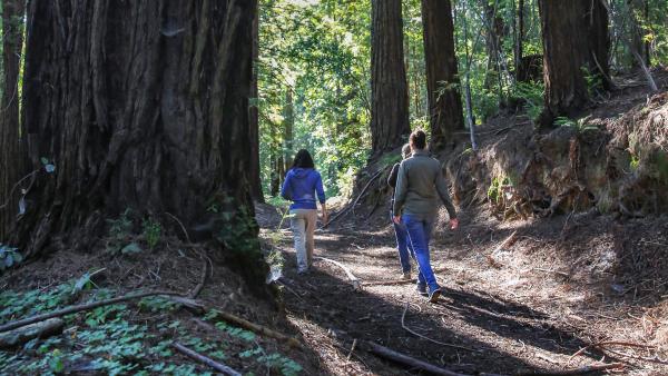 people walking on a trail