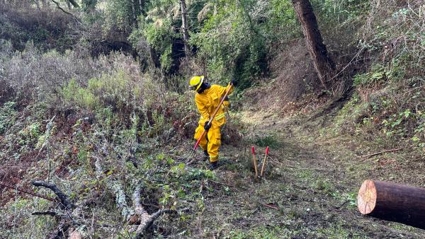 SFCC member at wildland fire resiliency project at La Honda Creek Open Space Preserve