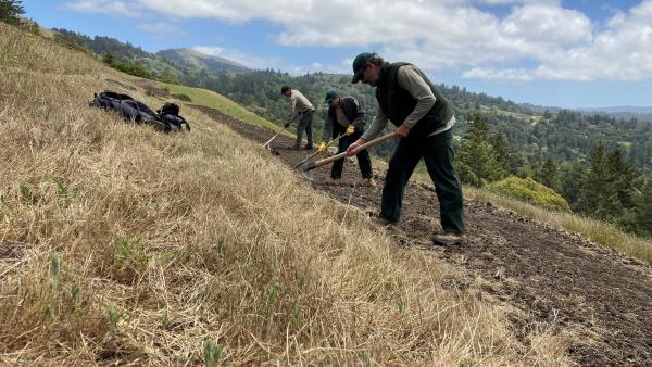 Midpen staff building the new La Honda Creek Preserve Loop Trail by Don Mackessy/Midpen