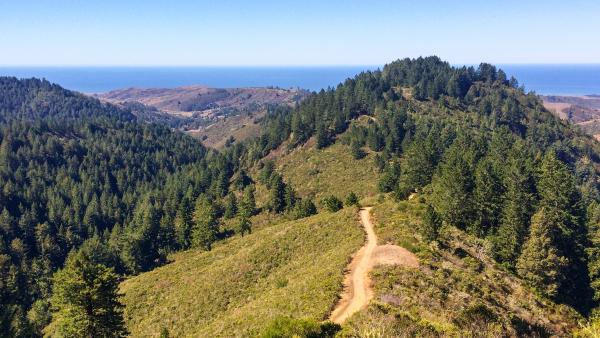 View from the Whittemore Gulch Trail in Purisima Creek Redwoods Preserve. (Haley Edmonston)