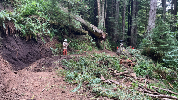 Landslide repair work in Purisima Creek Redwoods