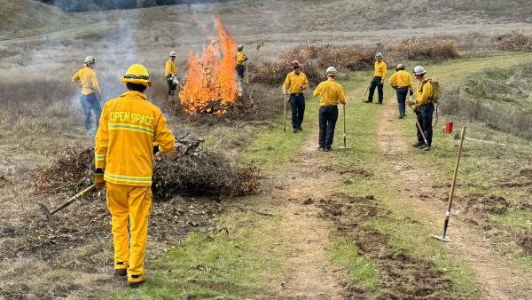Fire crew around pile of vegetation on fire