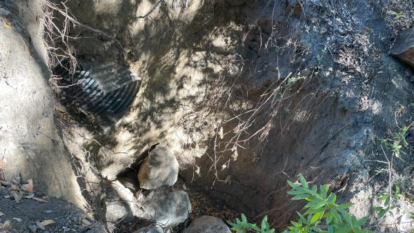 Damaged culvert in Fremont Older Open Space Preserve