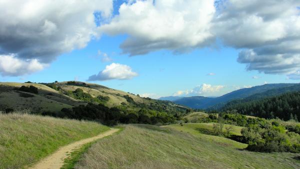 green forested hills