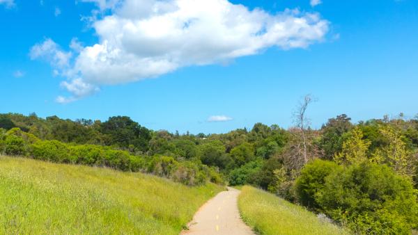 Easy-access path at Rancho San Antonio preserve (Mark Hehir)