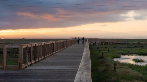 two people walking along a boardwalk at sunrise