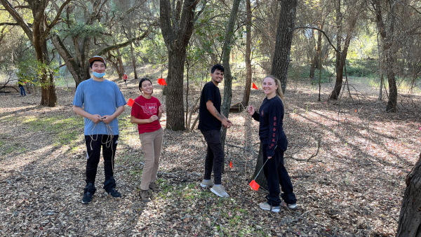 SJSU students in an outdoor restoration project at Sierra Azul