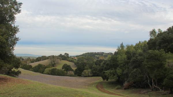 The Hawthorns at Windy Hill Preserve