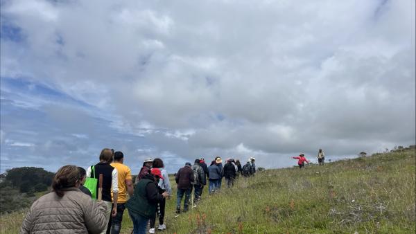 Participants on a group hike hosted by Midpen and ALAS walk up a green hill