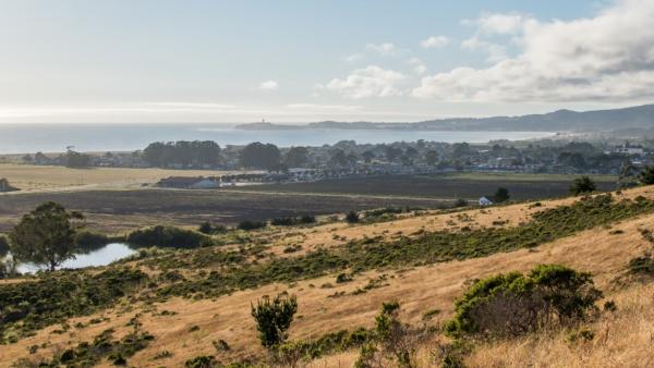 View towards Pillar Point from the Johnston Ranch uplands. (Midpen)