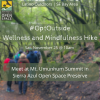 Latino Outdoors Wellness and Mindfulness Hike