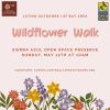 Latino Outdoors | SF Bay Area Wildflower Walk Sierra Azul Open Space Preserve Sunday, May 12th at 10AM