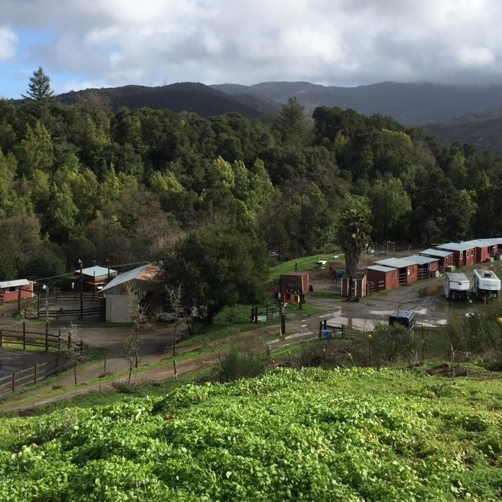 Bear Creek Redwoods Preserve Midpeninsula Regional Open Space District