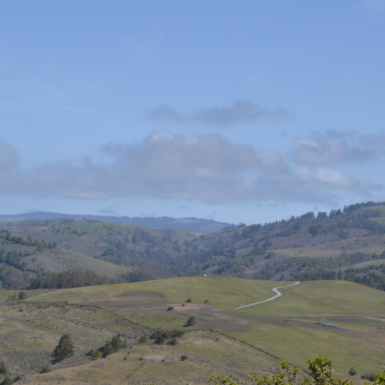 Cloverdale Ranch Preserve | Midpeninsula Regional Open Space District