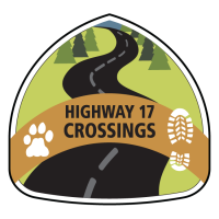 Highway 17 Crossings