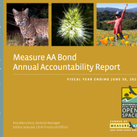 Measure AA Annual Accountability Report Cover