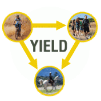 YIELD. Bicycles yield to hikers and equestrians. HIkers yield to equestrians.