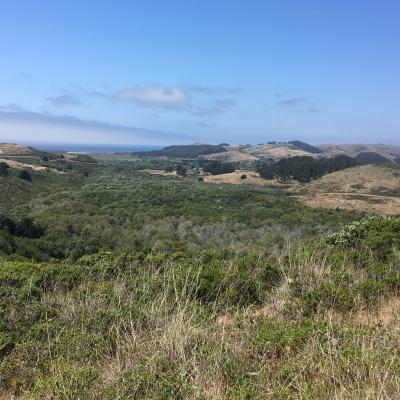 Cloverdale Ranch, view from high hill. 