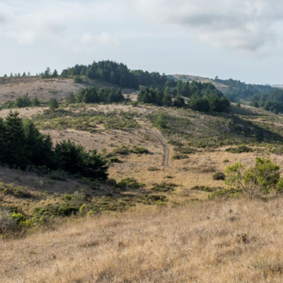 landscape view of Cloverdale Ranch 