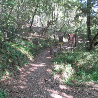 Coal Creek Connection at Alpine Road