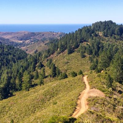 View from the Whittemore Gulch Trail in Purisima Creek Redwoods Preserve. (Haley Edmonston)