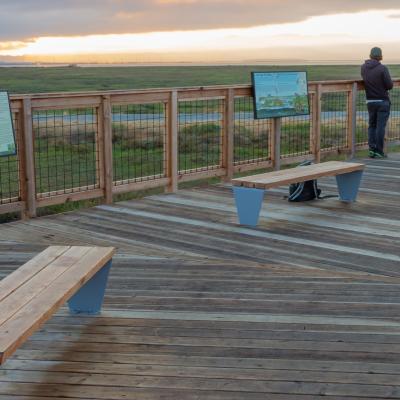 two people on the observation deck overlooking the wetlands