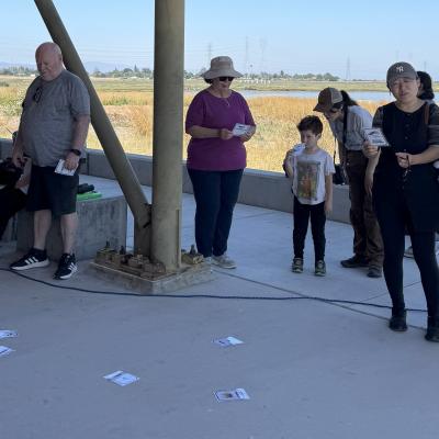 Participants in Saved By Nature's bird activity admire illustrations of Bay Area birds