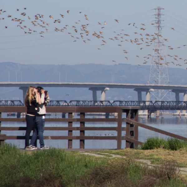 two women birdwatching