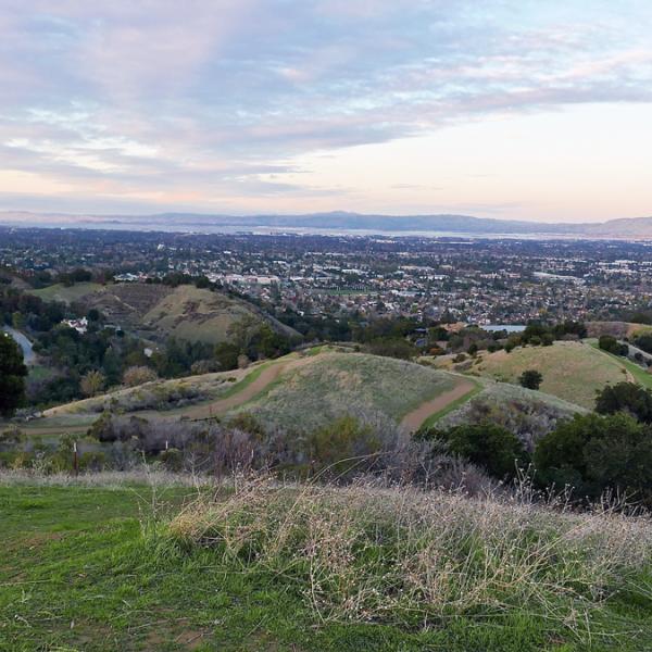 Photo: Jack Parees view of the city from Hunters Point in Fremont Older Preserve