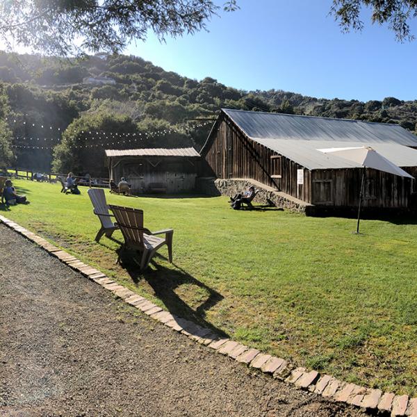 picnic tables along a grassy lawn