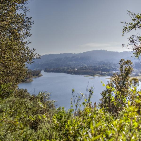 Photo by Peter Reinold Lexington Reservoir from St. Joseph's Hill / photo by Peter Reinold