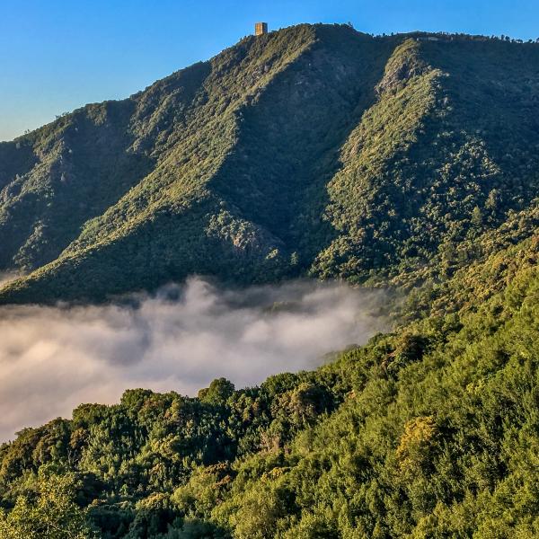 Photo by Lubor Ptacek Mt. Umunhum / photo by Lubor Ptacek