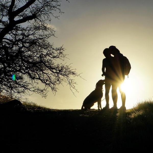 Morning dog walkers / photo by Xun Li