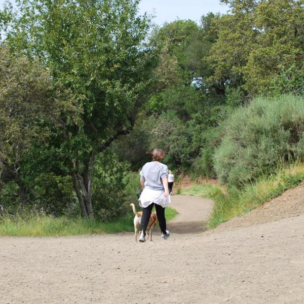 Photo by Midpen staff Dog walker and hiker at St. Joseph's Hill Preserve / staff photo