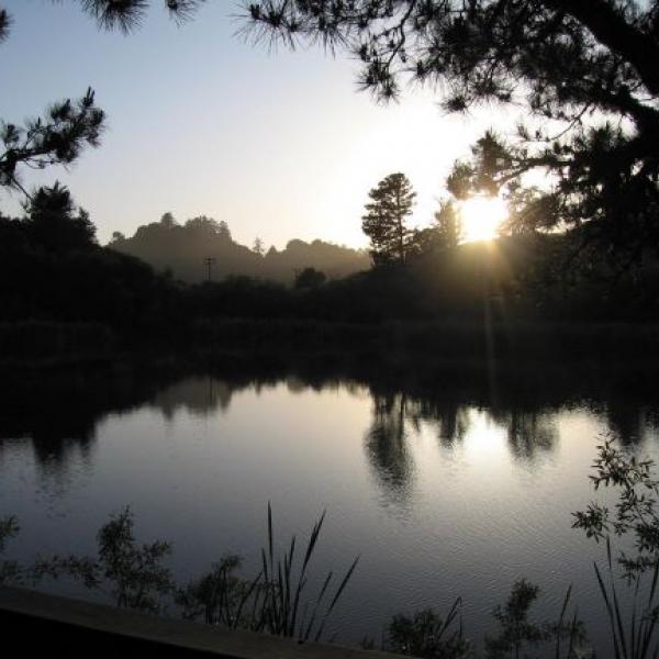 Alpine Pond at Skyline Ridge Preserve