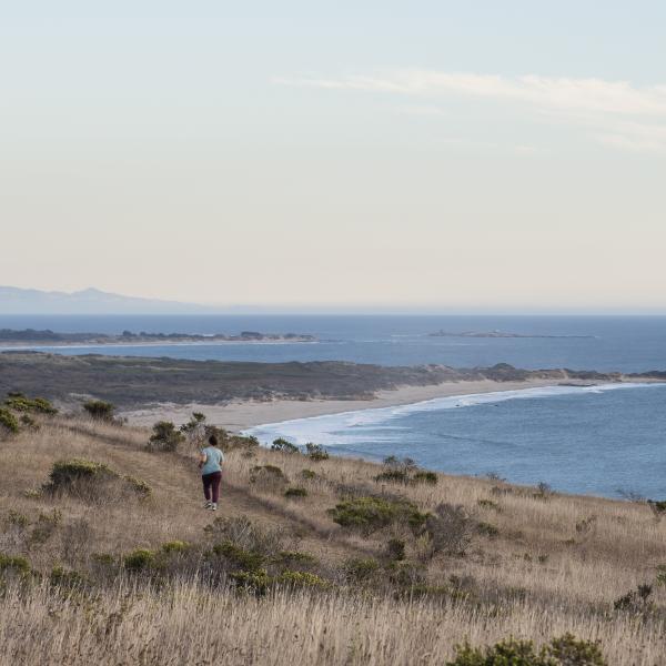 Runner on Wilbur's Watch Trail in Cloverdale Ranch Preserve by Teddy Miller.