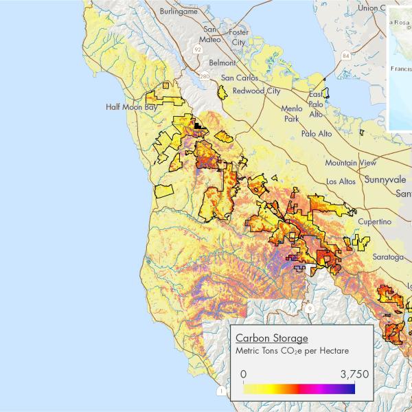 Carbon Storage Map for Midpen District