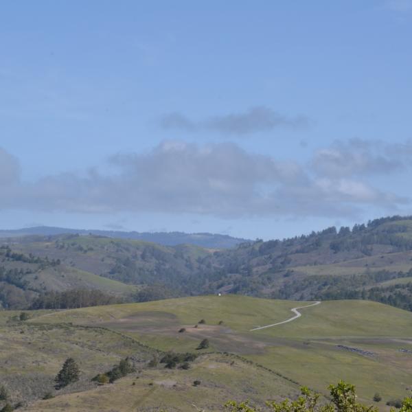 Landscape view showing grasslands in Cloverdale Ranch Preserve. 