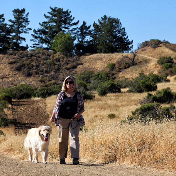 dog at Fremont Older Preserve