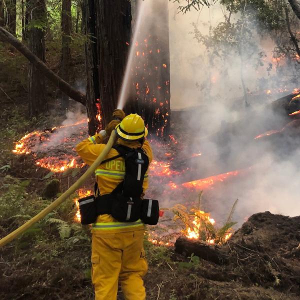 Photo: Brad Pennington a firefighter sprays water on a fire
